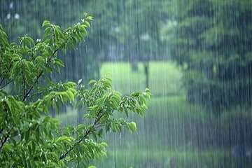 رگبار باران و وزش باد در ۶ استان کشور