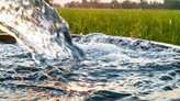 هدررفت 55 درصد آب یزد در بخش کشاورزی
