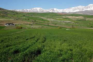 دمای هوا هفته آینده در اکثر نقاط کشور افزایش می‌یابد