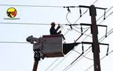 پایتخت از پیشگامان کاهش تلفات و نوسازی شبکه توزیع برق در کشور است