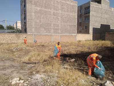 پاکسازی زمین های غیر محصور سطح شهر قزوین