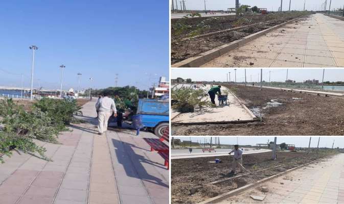 یکصد نهال ویتکس در پارک جدیدالاحداث ساحلی توسط شهرداری خرمشهر کاشته شد