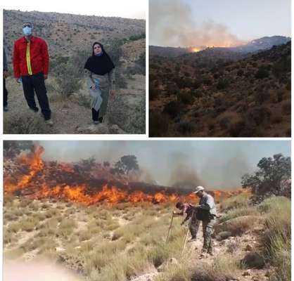 بخشی از عرصه های جنگلی خاتم دچار حریق شد