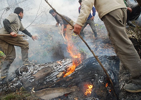 جاده جنگل ابر احداث شده بود، آتش‌سوزی جنگل گلستان زودتر مهار می‌شد