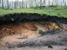 فرسایش بیش از حد مجاز خاک، زنگ خطر برای طبیعت گیلان است