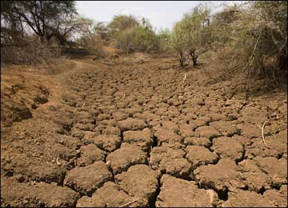 خسارات خشکسالی در چهارمحال و بختیاری
