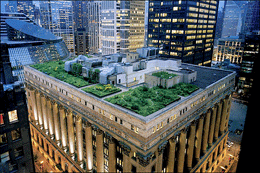 توسعه فضای سبز در بام ساختمان‌ها به کاهش آلودگی کمک می‌کند