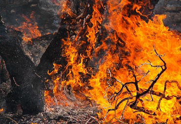 آتش‌سوزی نزدیک به ۳۵۰ هکتار از مراتع و جنگل‌های قزوین