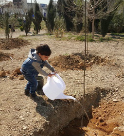 برای درختکاری به پارک پردیسان بروید