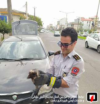 نجات گربه از موتور خودروی سواری