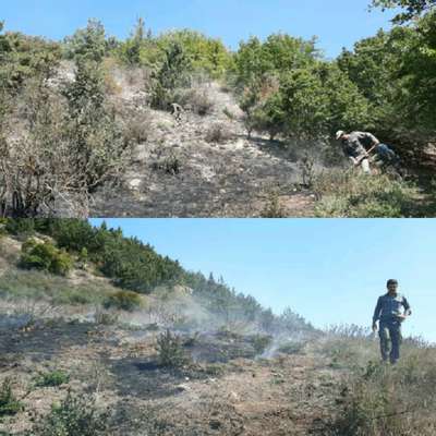 مهار آتش سوزی درمنطقه رزان لشکنار کجور