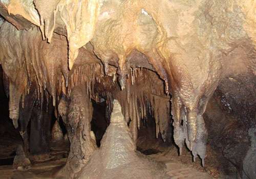 شعار روز ملی غار پاک دوم مهرماه: حفاظت از تنوع زیستی غارها