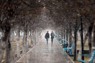 نوار شمالی کشور تا ۱۰ درجه خنک می‌شود
