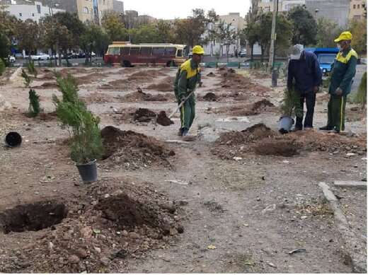 کاشت بیش از ۲۹ هزار و ۶۰۰ نهال در بوستان‌های منطقه ۶