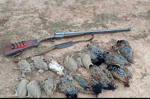 بازداشت متخلفان شکار غیر مجاز پرندگان در دهلران