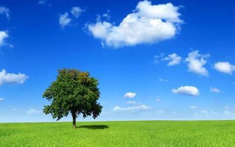 همزمان با هفته هوای پاک؛ انتشار یادداشت هوای پاک و مشارکت مردمی ...