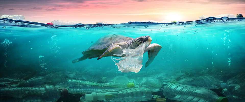 تشخیص ضایعات پلاستیکی در اقیانوس با استفاده از هوش مصنوعی