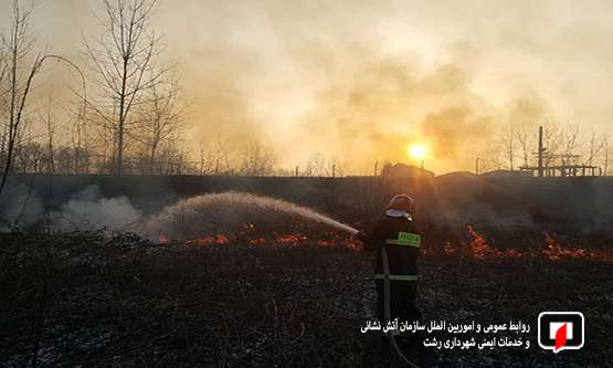 مهار آتش سوزی علفزار در بلوار ولیعصر(عج) / آتش‌نشانی رشت