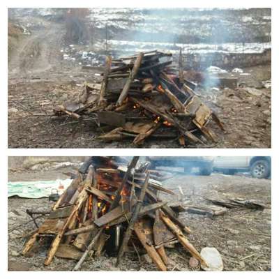 نابودی بیش از ۵۰عدد تله چوبی در استان قزوین