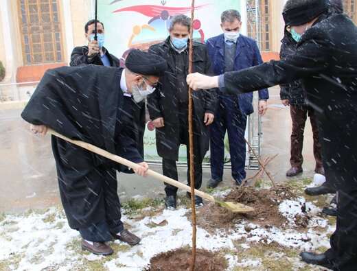 شهرداری تبریز تلاش زیادی در ترویج فرهنگ درختکاری دارد