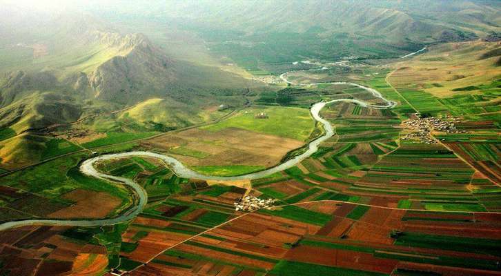 گرین نهاوند به مدت ۵ سال شکار ممنوع شد