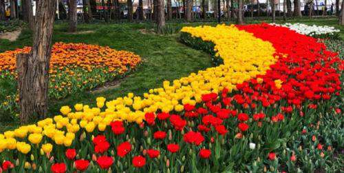 آماده‌سازی شهر مشهد برای بهار ۱۴۰۰
