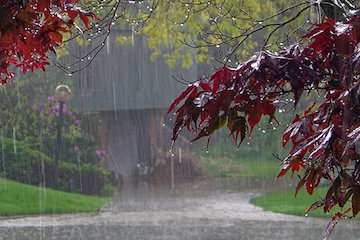 بارش باران و وزش باد شدید در بیشتر نقاط کشور / پیش بینی وزش باد در هوای نیمه ابری امروز پایتخت