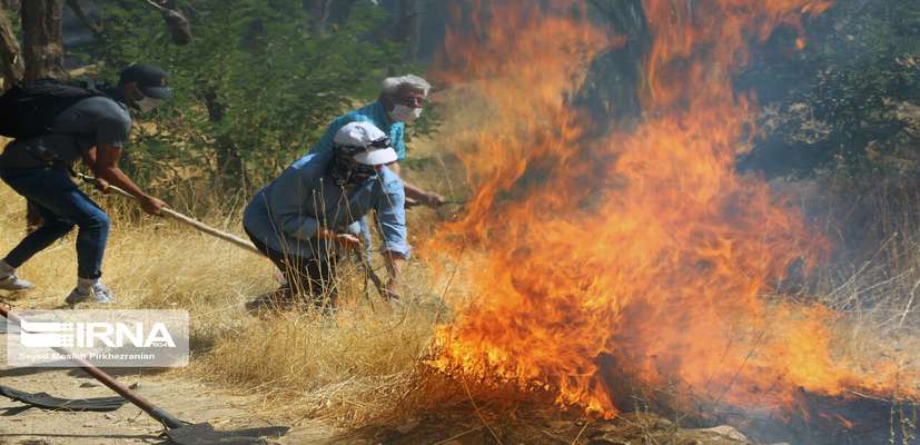 شیوه‌نامه پیشگیری از آتش‌سوزی‌ در طبیعت بزودی ابلاغ می‌شود