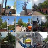 بهینه‌سازی شبکه برق یک روستا در شهرستان طالقان