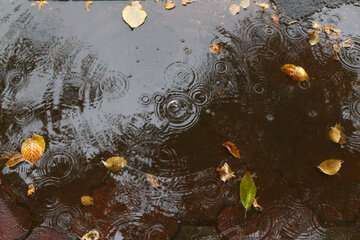 بارش باران و وزش بادهای شدید در تهران و ۲۸ استان