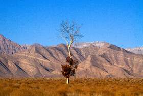 شناسایی سه پهنه گسلی جنبا در شهر کرمان