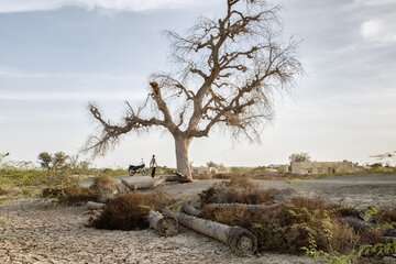 کم‌بارشی و خشکسالی در سال ۱۴۰۰ بسیار جدی است