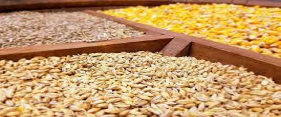 دولت با تامین نهاده‌ ها مانع قاچاق گندم و افزایش قیمت شود