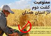 ممنوعیت کشت دوم در مزارع کشاورزی استان همدان