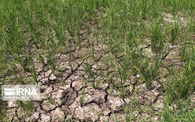 تداوم کم بارشی و خشکسالی در نیمه اول پاییز ۱۴۰۰