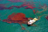 بروزرسانی جرایم قانون حفاظت از دریاها و رودخانه‌هادر برابر آلودگی نفتی/پاکسازی ۲۷ مورد سانحه آلودگی دریایی در نیمه اول امسال