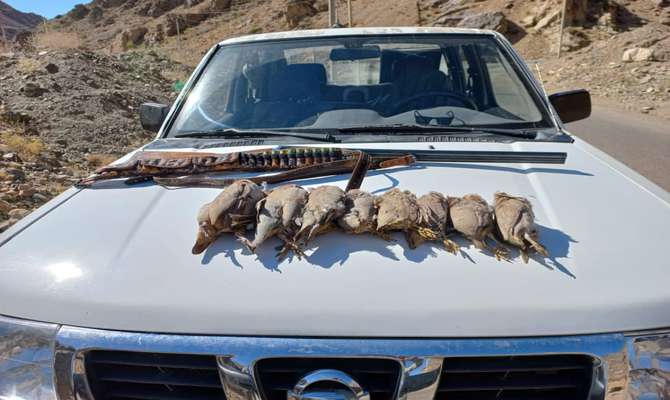 دستگیری متخلف شکار پرنده در شهرستان کاشان
