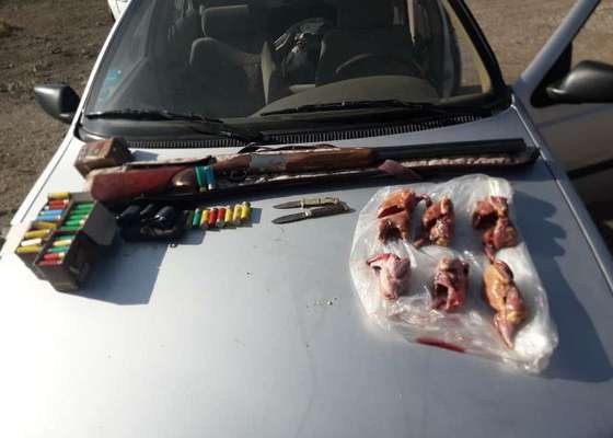 متخلف شکار و صید پرندگان وحشی در کاشان دستگیر شد