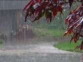 ثبت 28 میلی‌متر بارش در استان مازندران