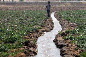 آخرین وضعیت تامین آب کشت پاییزه خوزستان / کرخه بحرانی است