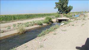 آب بهای 6 محصول زراعی زمستانه در شبکه های آبیاری شمال خوزستان کاهش یافت