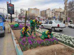 خرید ۴۰۰ هزار گلدان گل برای استقبال از نوروز