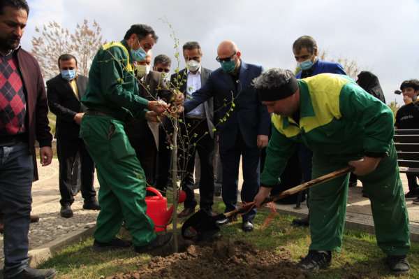 مراسم روزدرختکاری با پویش ملی «یک نهال یک زندگی» باحضور شهردار گرگان برگزار شد