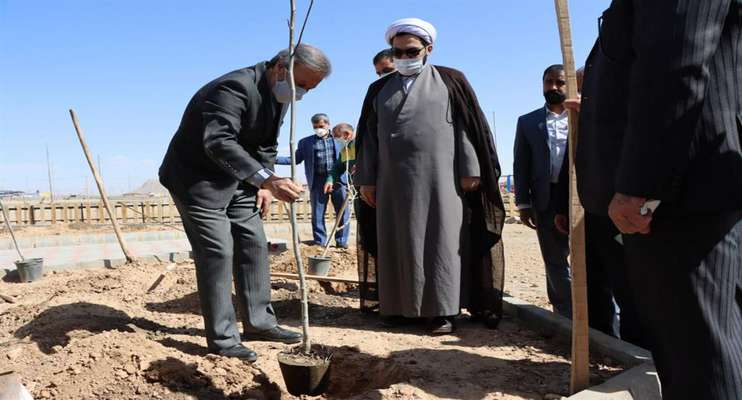 شهردار شاهرود: 1000 درخت مثمر غیر مثمر در پارک شهرک فدک کاشته شد