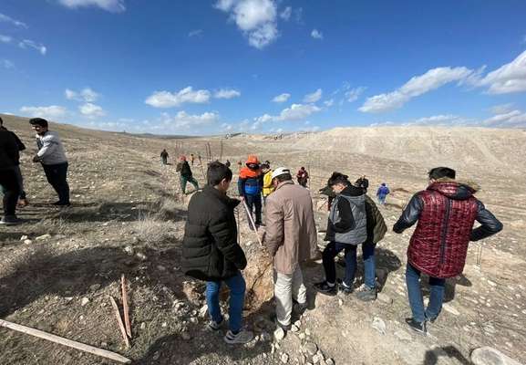 مشارکت مدارس و سازمان‌های مردم‌نهاد در درختکاری پلاک ۱۷۴ حاشیه اتوبان کسایی