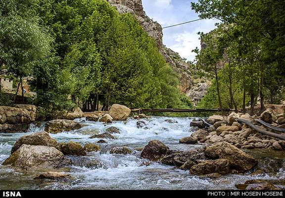 همگام با طبیعت با انجام توصیه های محیط ریستی برای روز طبیعت