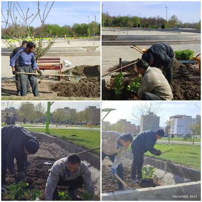 تکمیل کاشت گل فصلی در پارک ملت