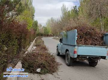 اجرای طرح نگهداشت شهری در حوزه فضای سبز منطقه ۷ تبریز