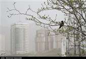 هواشناسی ایران ۱۴۰۱/۰۱/۳۰؛ هشدار ورود توده گردوخاک به کشور/ ۱۴ استان درگیر آلودگی هوا می‌شوند