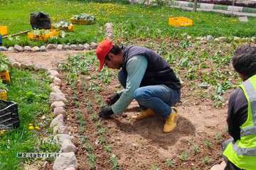 اجرای طرح "اردیبهشت، بهار تبریز" در پارک های سطح حوزه شهرداری منطقه ۲ تبریز